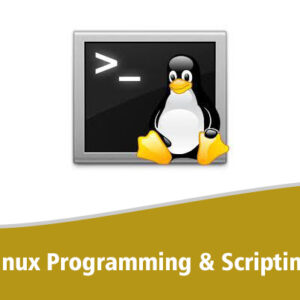Linux Programming & Scripting (n)