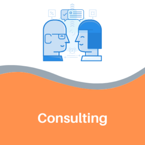 Consulting
