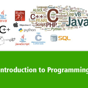 Introduction to programming (n)