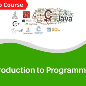 Introduction to Programming – A Practical Approach (Demo)