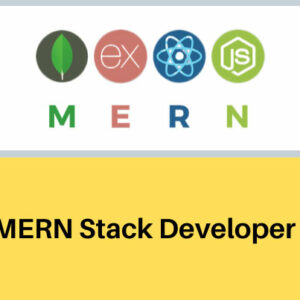 MERN Stack Developer