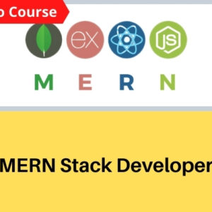 MERN Stack Developer (Demo)
