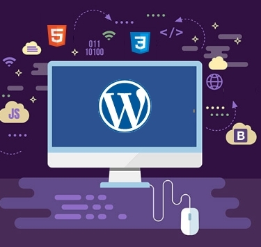Web Developer - Hindi